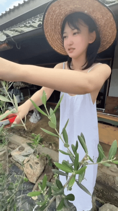 修理后花园 ​​​