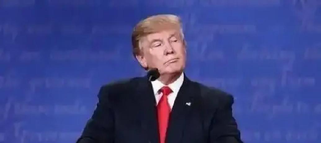 当移民被当成“麻烦根源”，同盟关系也会跟着发冷。
 
想象一下，2025年的华盛