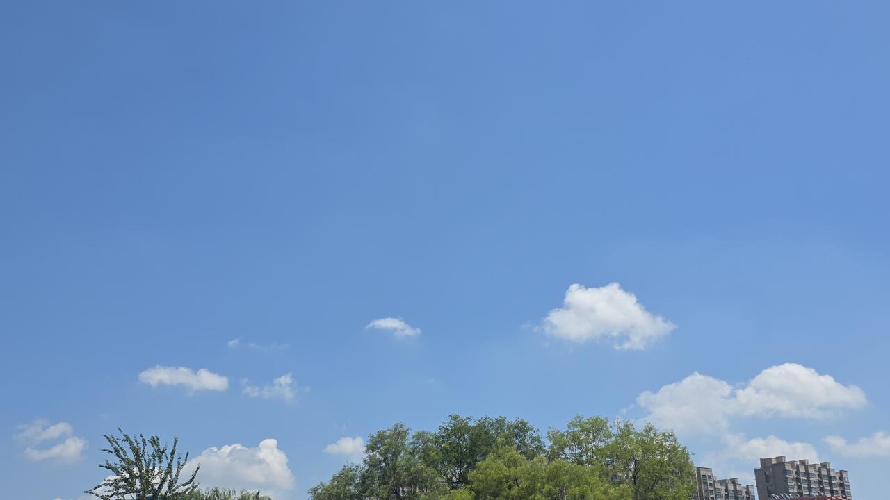 死守正确感的人 心理学上早判了刑

你有没有过这种时刻 明知道错了 嘴上还要硬撑