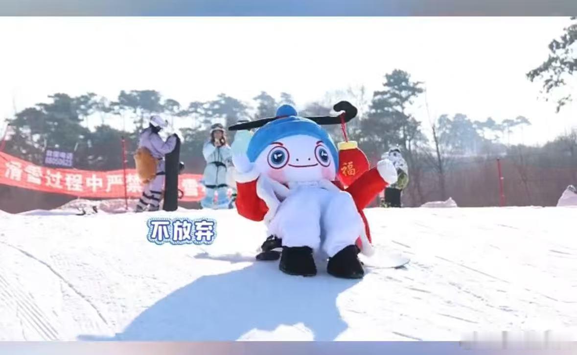 辽视春晚吉祥物e人属性大爆发  辽宁滑雪场发现一只野生腾 腾腾滑雪成功，不仅萌还