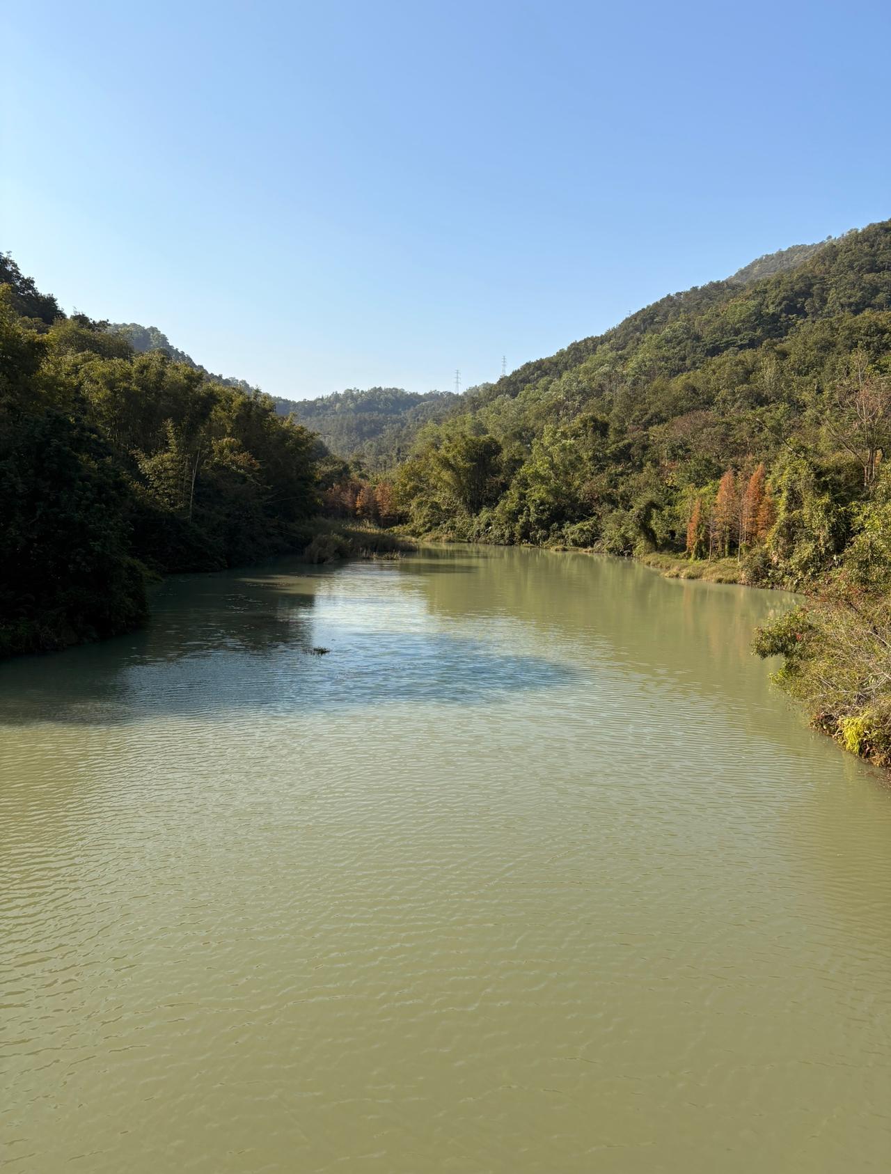 今天去学校接孩子的时候，听见几个家长在边上聊天。

有一个家长说，他们班上排名第