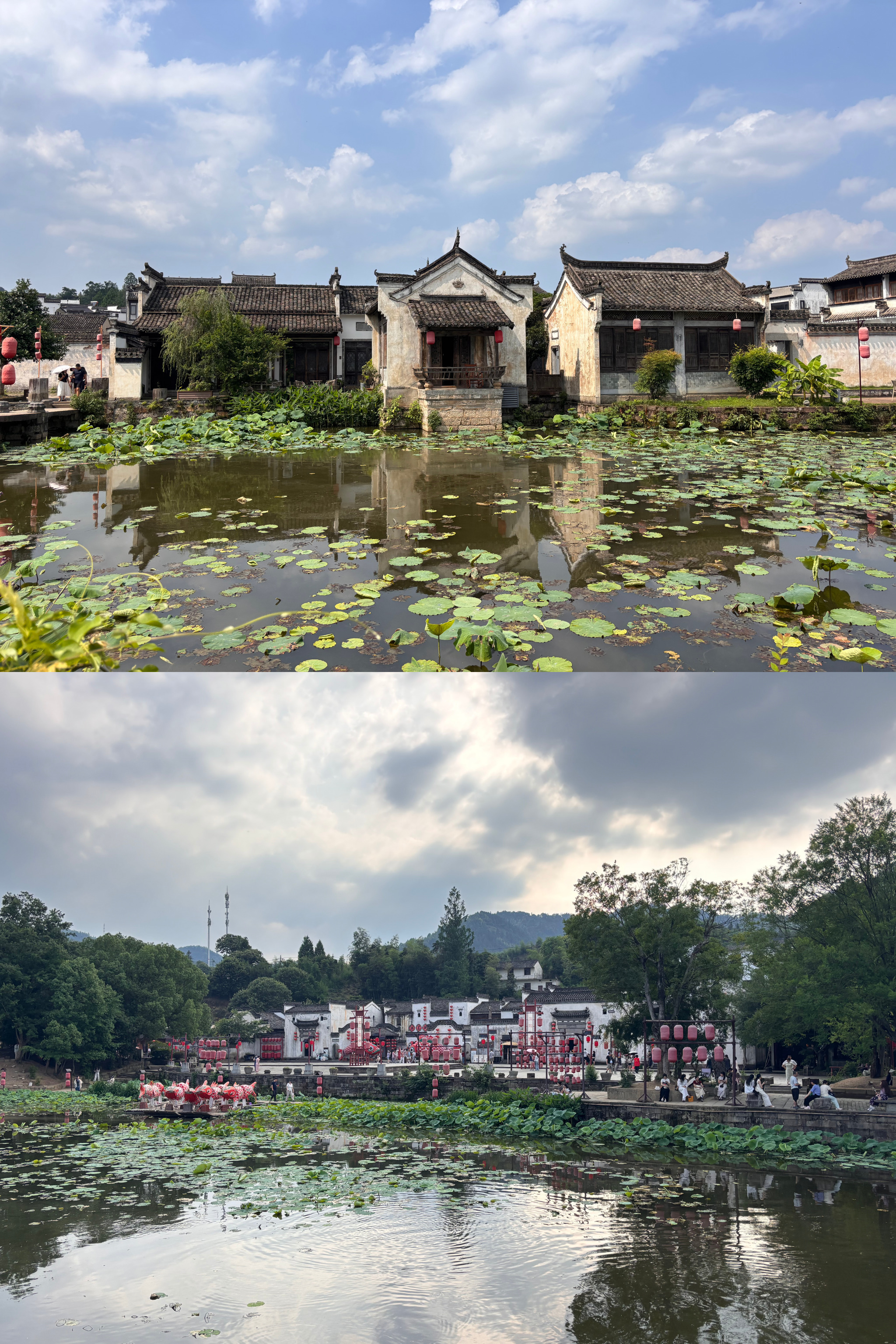杨紫杨紫李祯 ｜杨紫家业 朋友替我先去看了《家业》的美景此刻想去安徽的心达到了顶