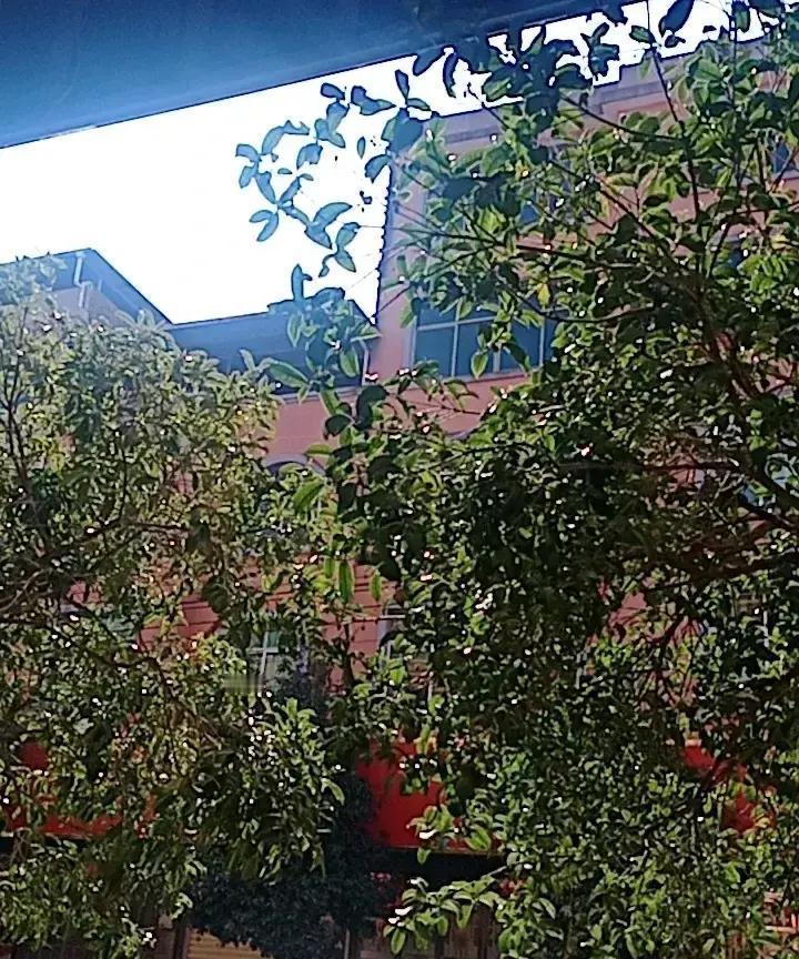 女子把小姑子当亲妹，婆婆却嫌她给娘家花钱。

她每月给婆婆两千买菜，小姑子大学学