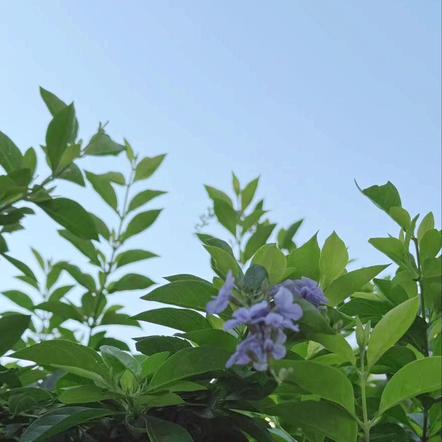 遵义迎来新的政府主要负责同志
 
近日，75后的管理学硕士宋旭升履新该市。
 