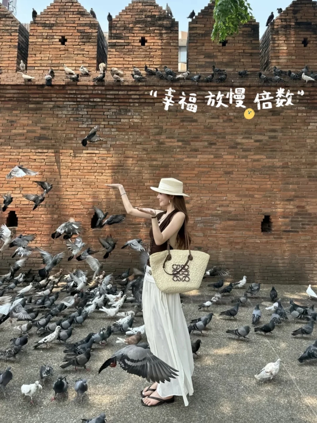 清风会永远拥抱天空