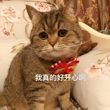 妍悦爱玩娱乐