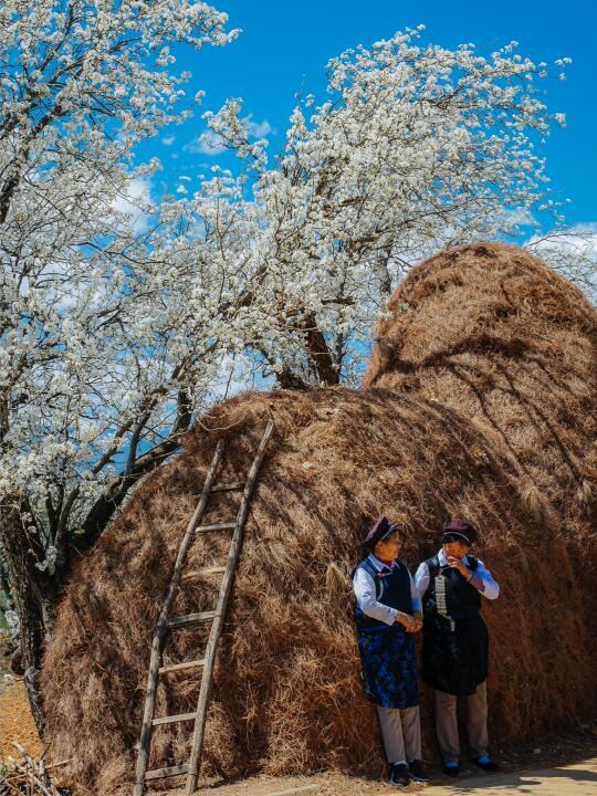 朋友圈都说拍的像画一样！