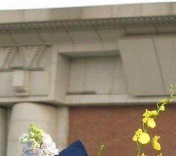 每日一善超话阳光信用 每日一善 

一起保护大自然@百万森林 
与社会携手做公益