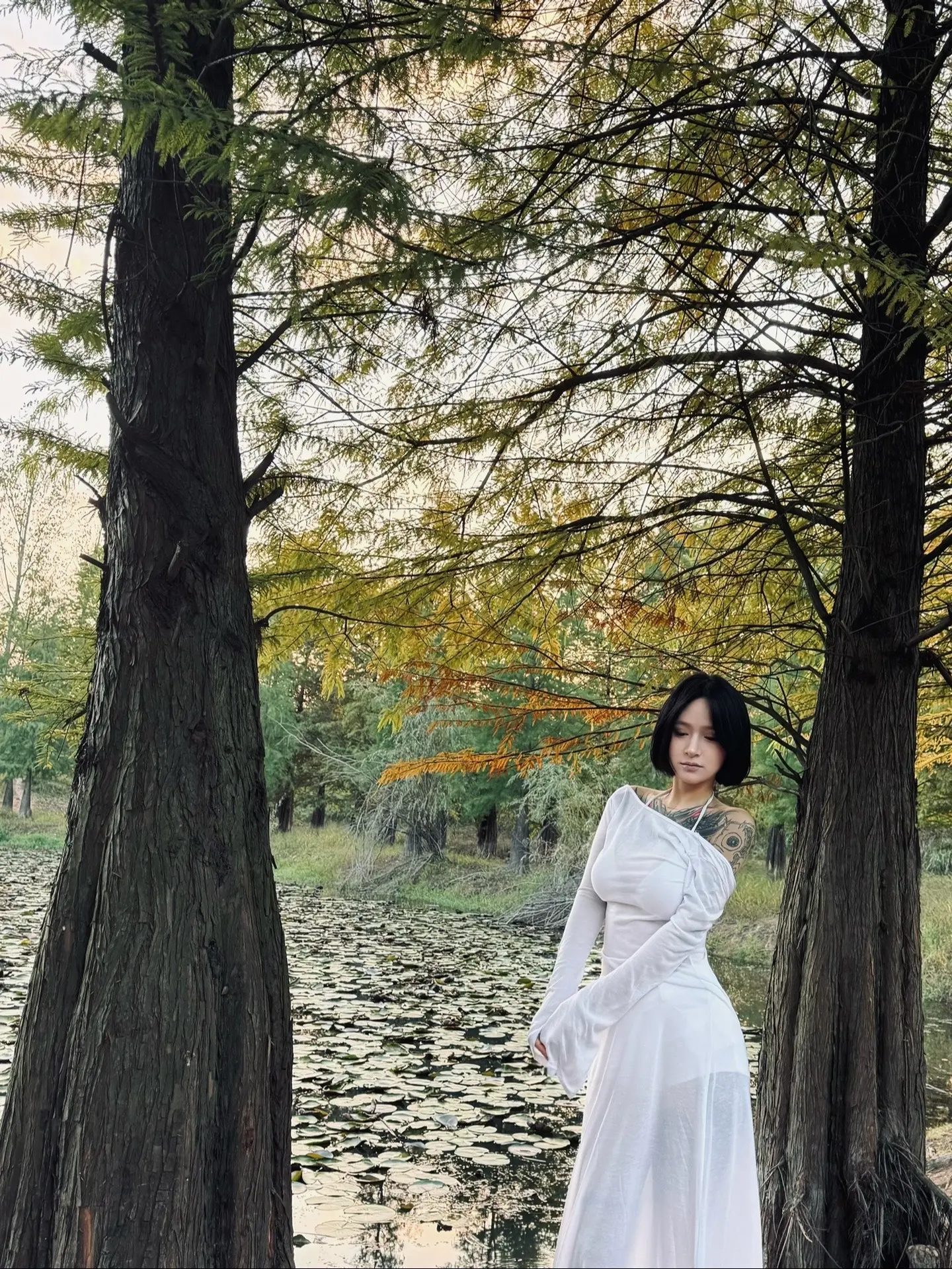 秋天的破败感🍂。