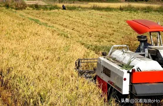 上联：千山树叶张张老，
下联：万里麦菽户户屯。
横批：本固邦宁[作揖][福]
