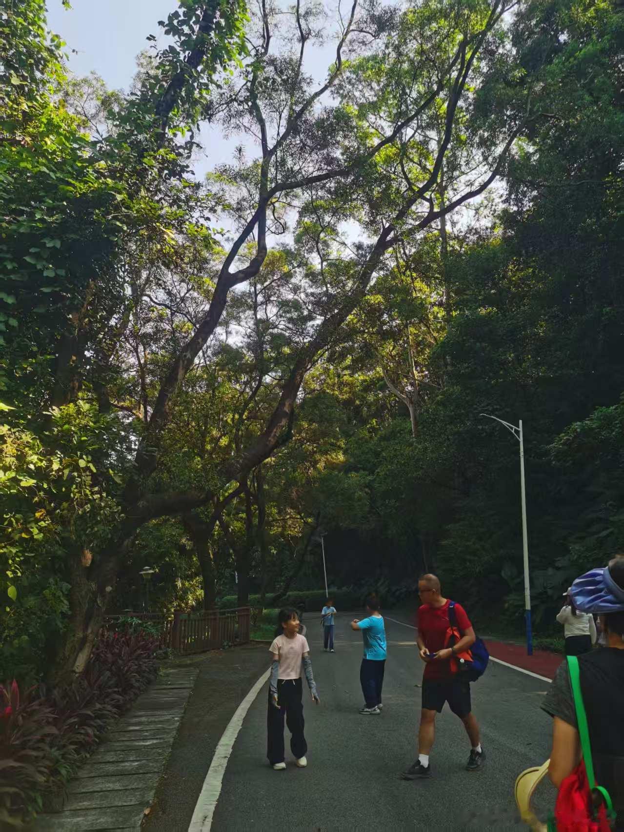 五山夜跑（2287）：晨！微微凉大晴天！火炉山带儿子溜达5.50km，1h15m