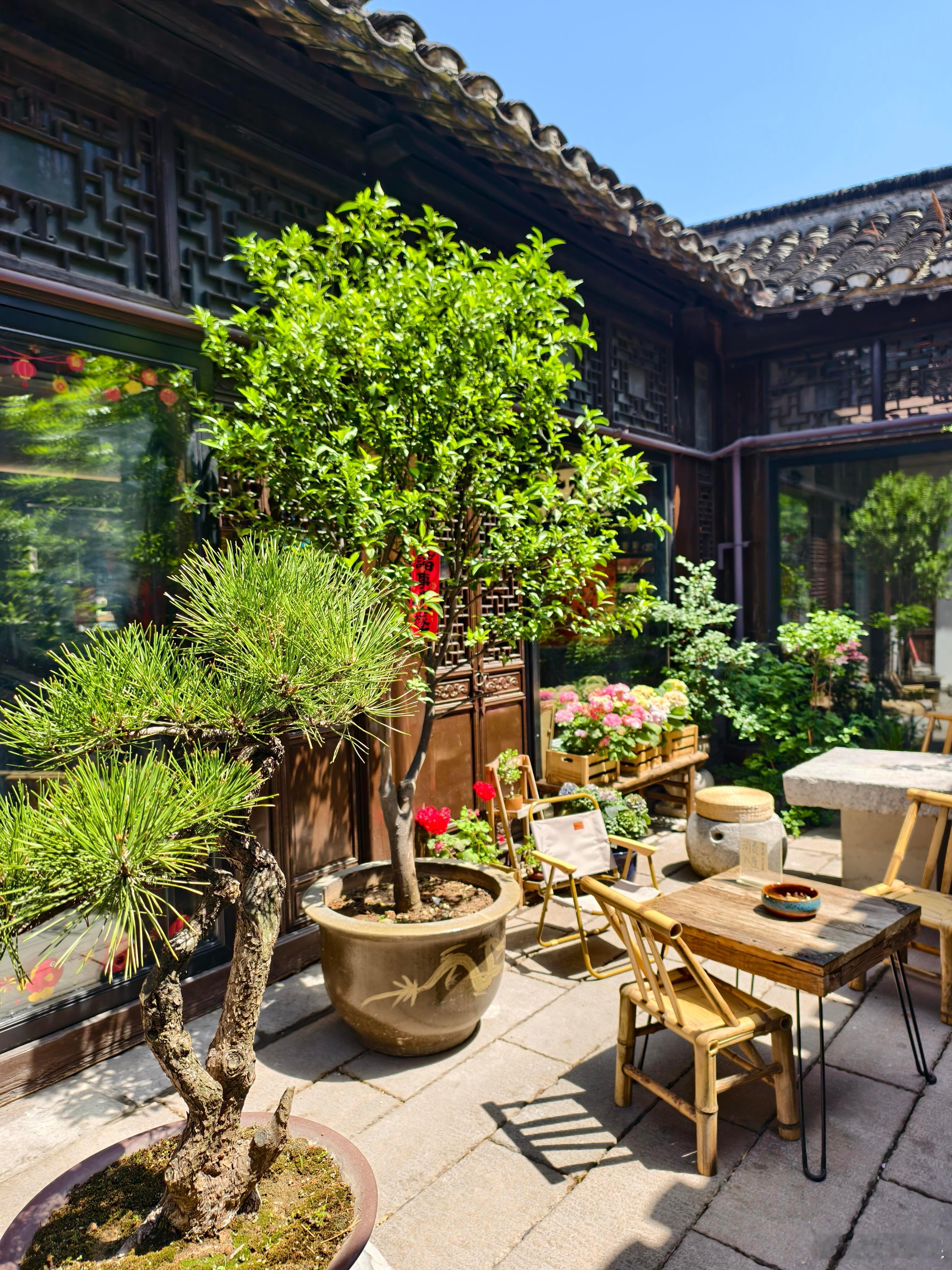 一方小院，半日闲情。 ​​​
