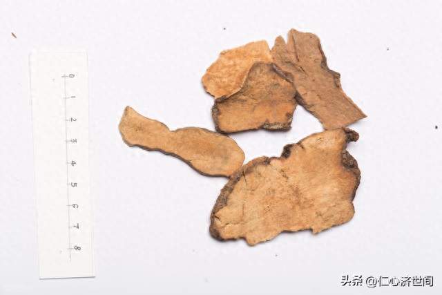 1味药，钻进关节深处，把骨缝寒湿连根拔起，堪称痛风“克星”！