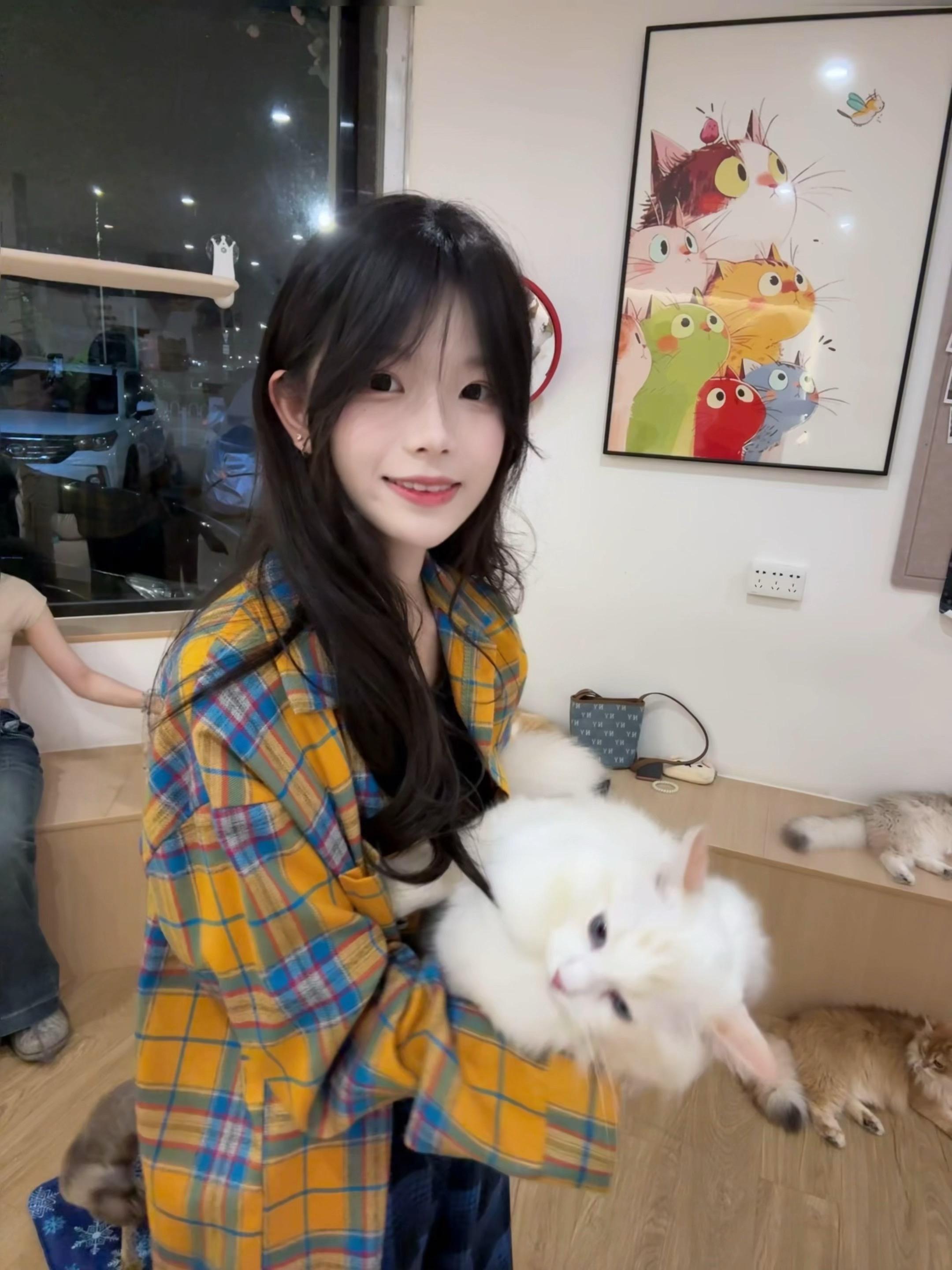 喵喵喵(>^ω^<)