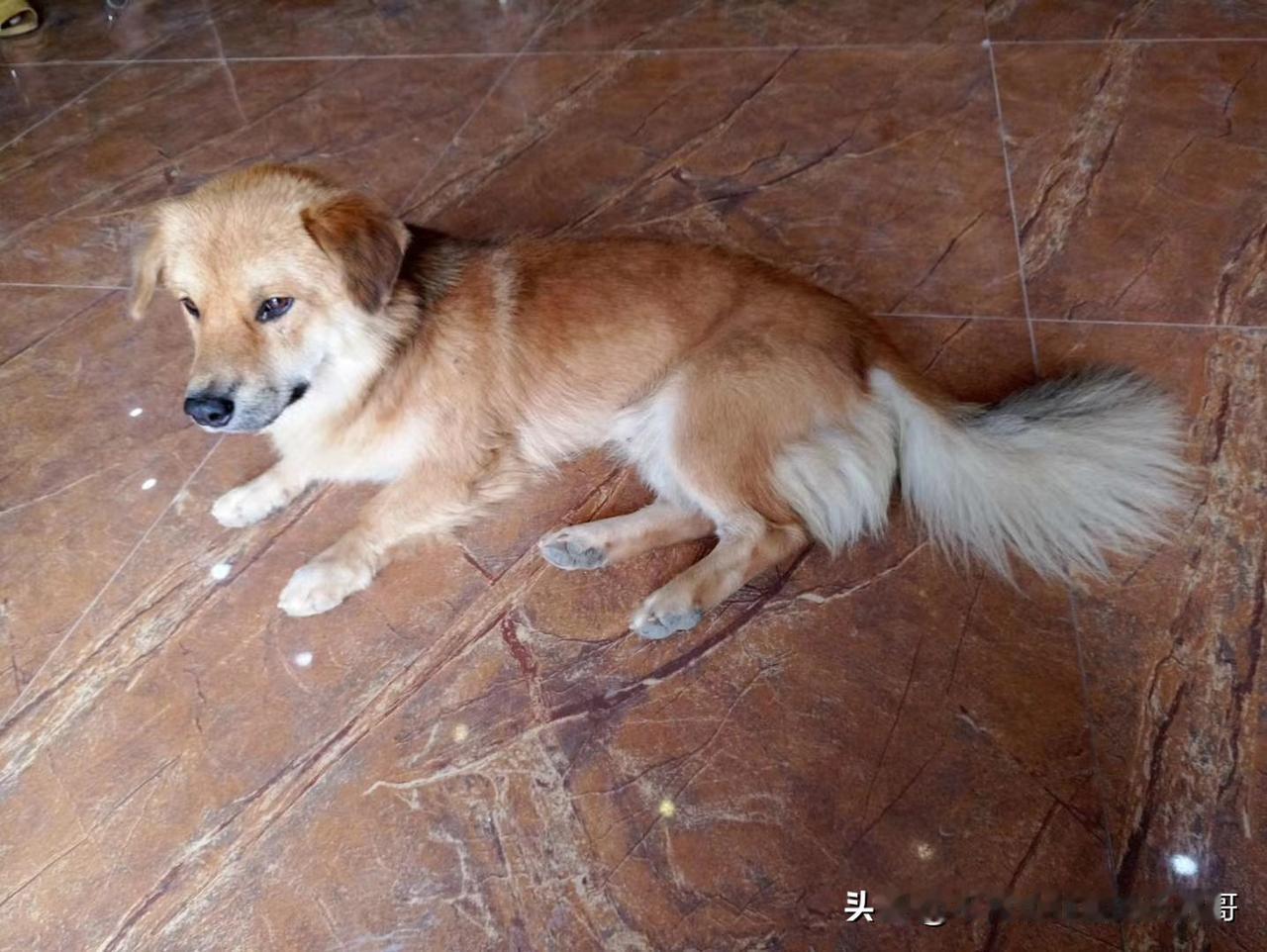 "芯璟低空"、"智航智引"、"智航视界"资金盘骗局即将收割跑路，最后割一波的阶段