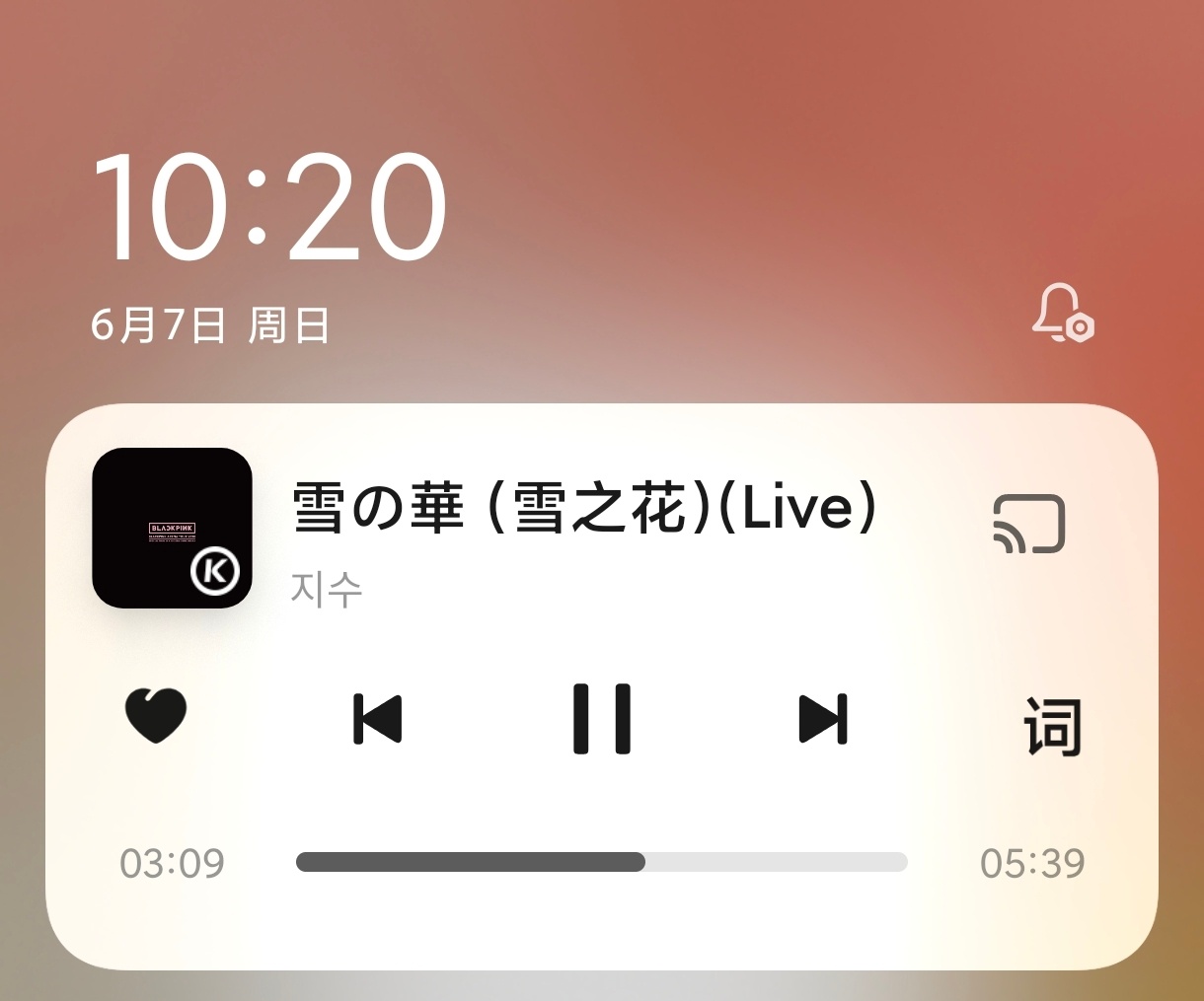 此刻在听金智秀雪之花 