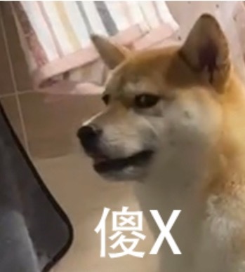 就是一个普通人 你在一个穿着国家队队服的运动员面前嘲笑队伍的成绩 都得说你一句⬇