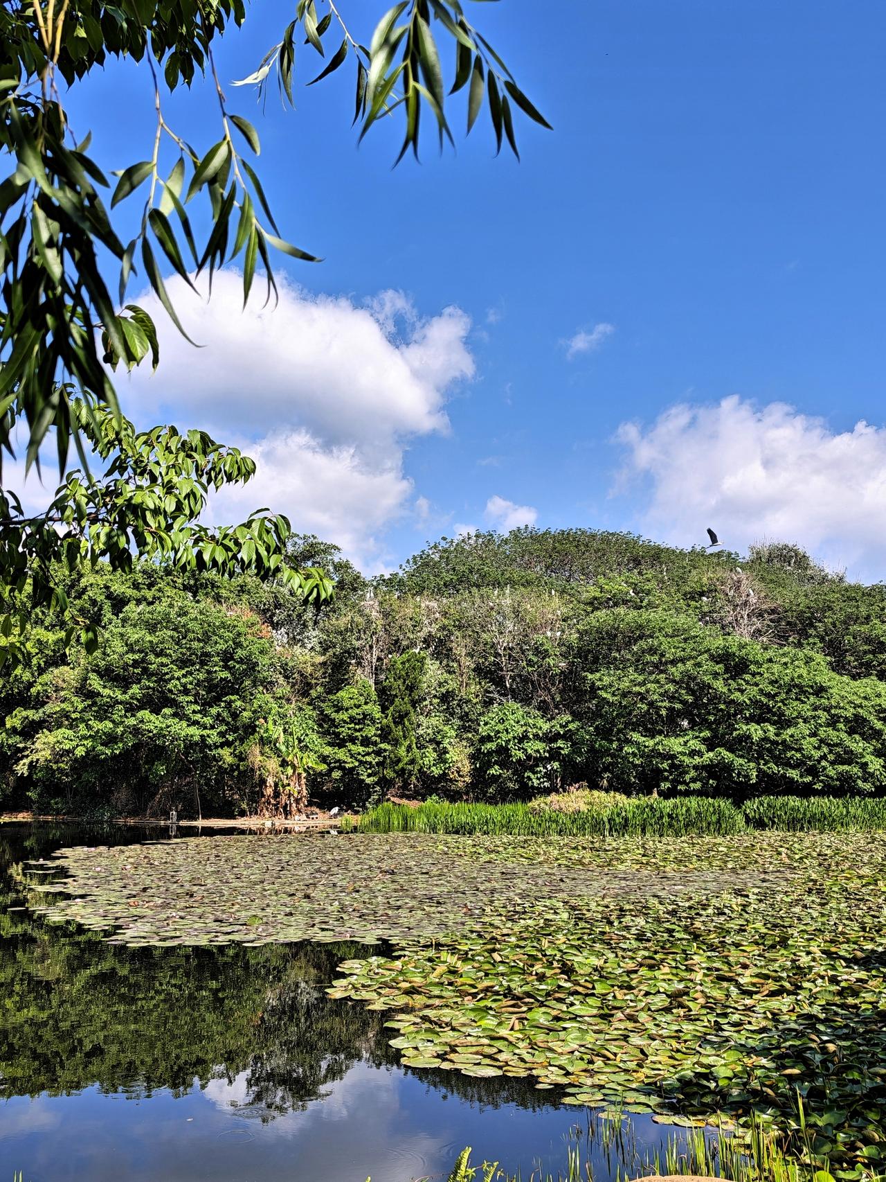 我喜欢这几句话：

1、所谓写作，不过是受过生活打击的人，在纸上，与世界温柔和解