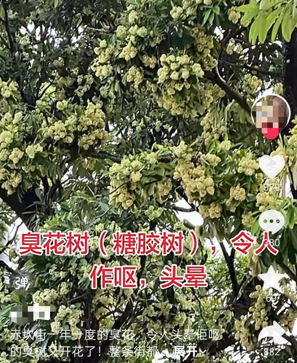 真的好臭，我昨天还说了🙊生活手记 ​​​