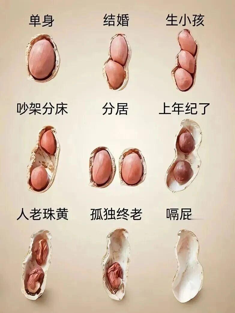 成年人的识人术1、车子里很干净的人，大多都不好客。
2、胖胖的女孩，脾气都很好。