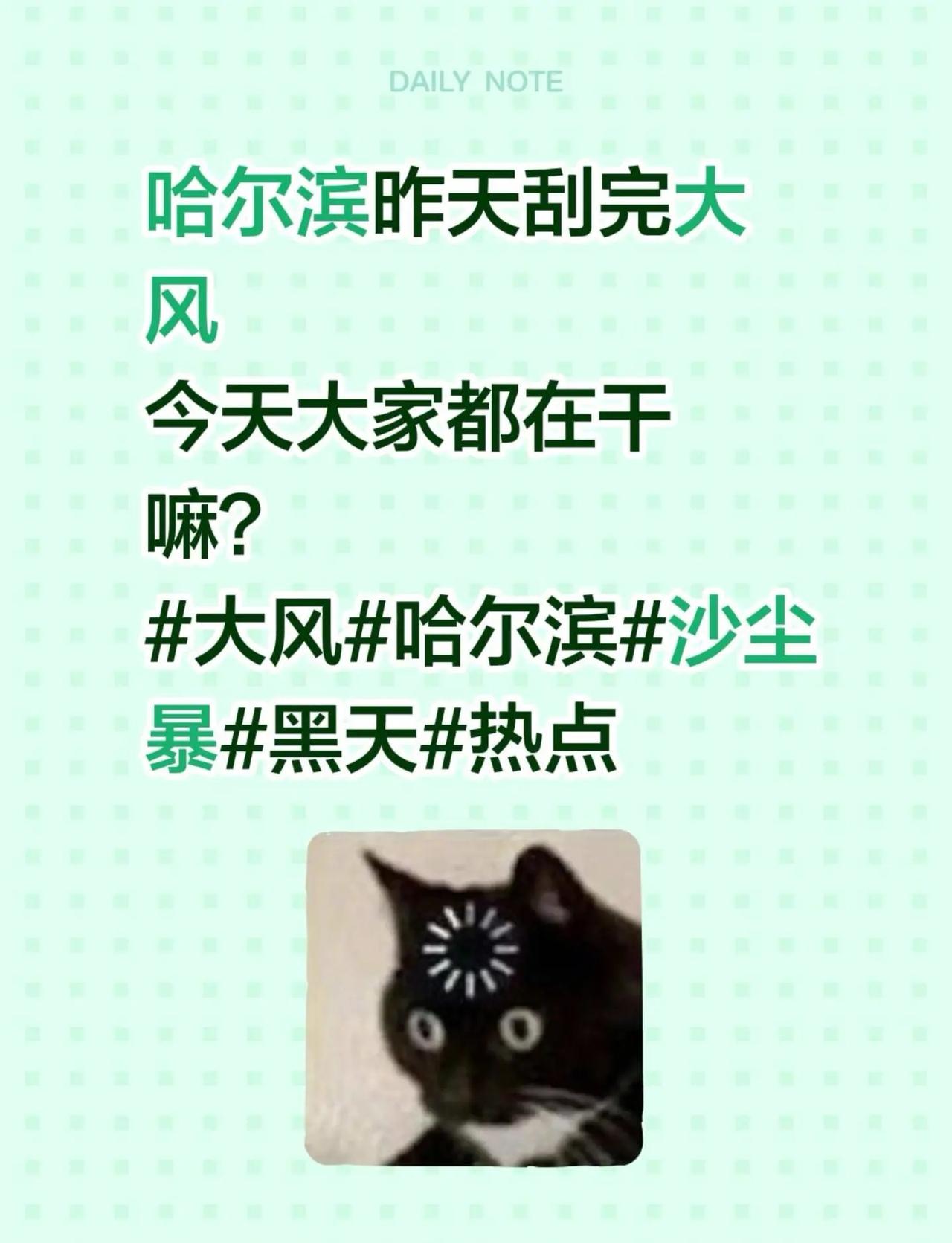哈尔滨昨天刮完大风今天大家都在干嘛？