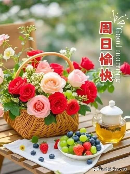 莎莎不愧为世界乒坛女单一姐的长青树！[给力][给力][给力][赞][赞][赞]/