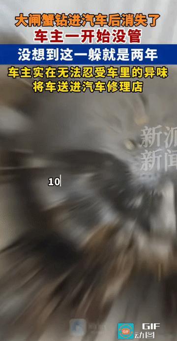 “这是真没招了!”江苏，一车主将大闸蟹放在车里后，不知什么原因，大闸蟹竟“越狱”