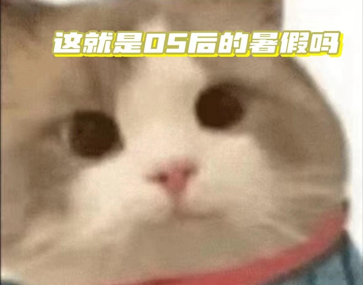 #05后的暑假已进入NextLevel# 做暑期项目，集成电路创新大赛，实验室后