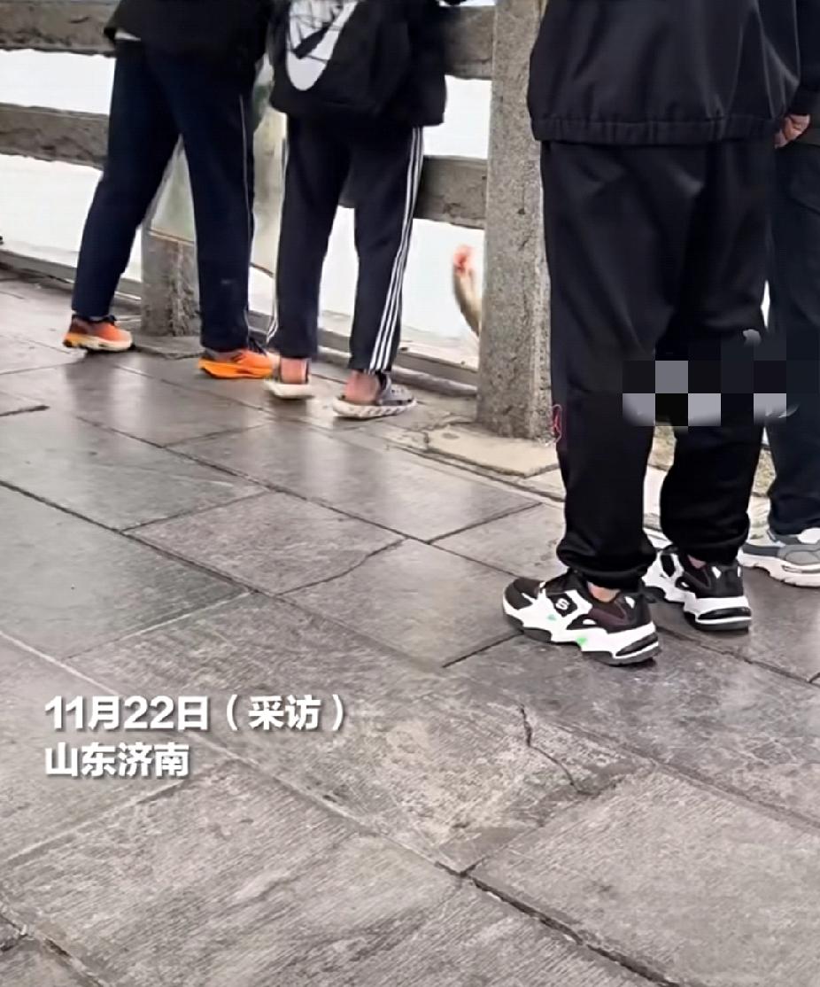 这下济南的鱼有编制的事情瞒不住了吧！11月22日，山东济南大明湖俩小伙钓条大鱼撒