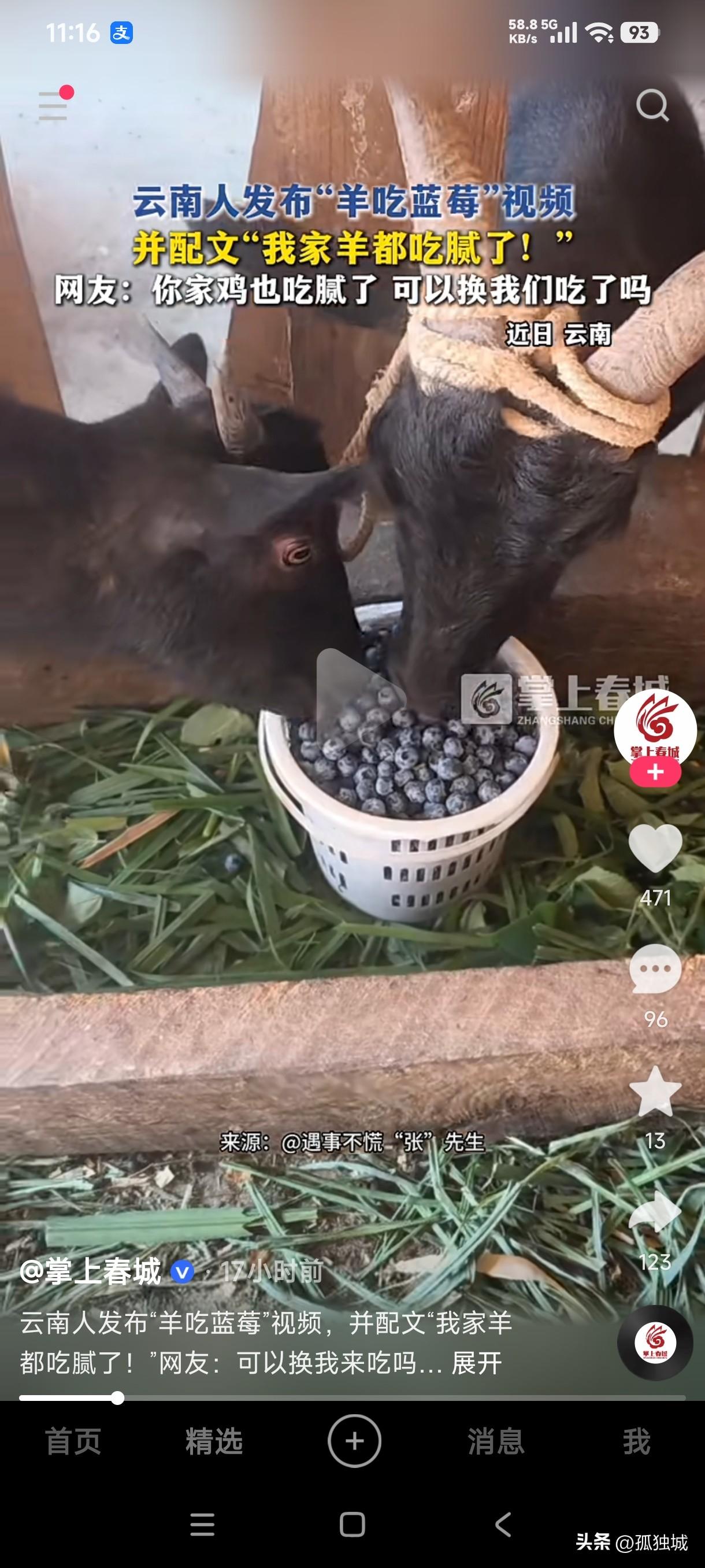云南网友居然给羊和鸡都喂的蓝莓，这不是眼馋我们吃不起蓝莓的人吗？

真没想到云南