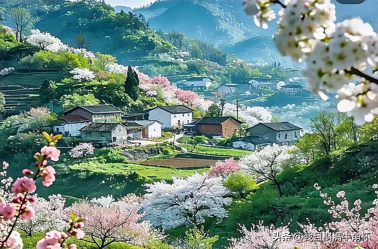 上联：春山可望心惆怅
下联：有请雅士[玫瑰][玫瑰][玫瑰]