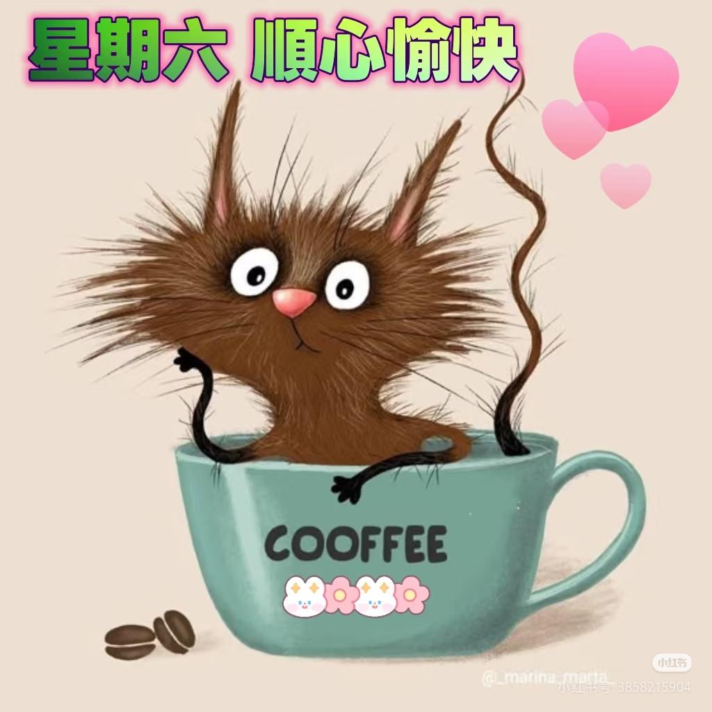 💐💐早安吉祥💐💐
        清晨阳光正好，新的一天开启新的征程！让