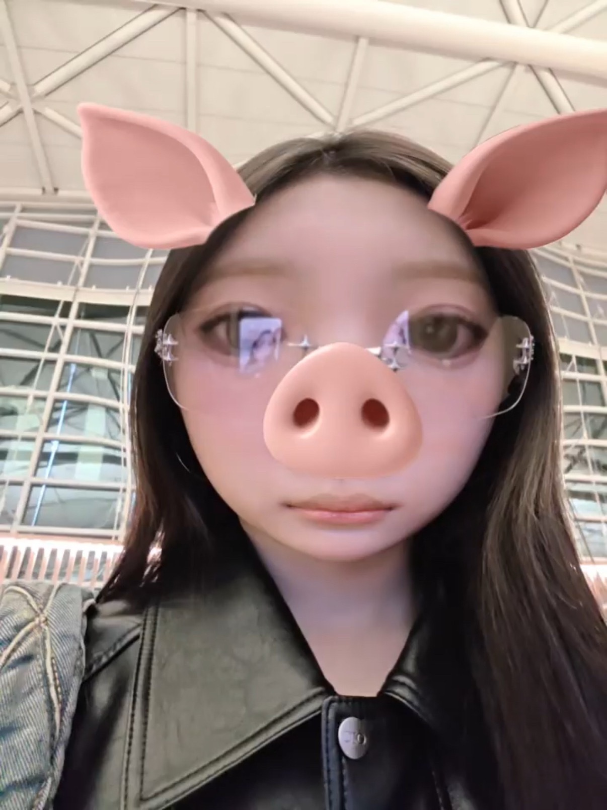 想猪的时候就来看一眼 