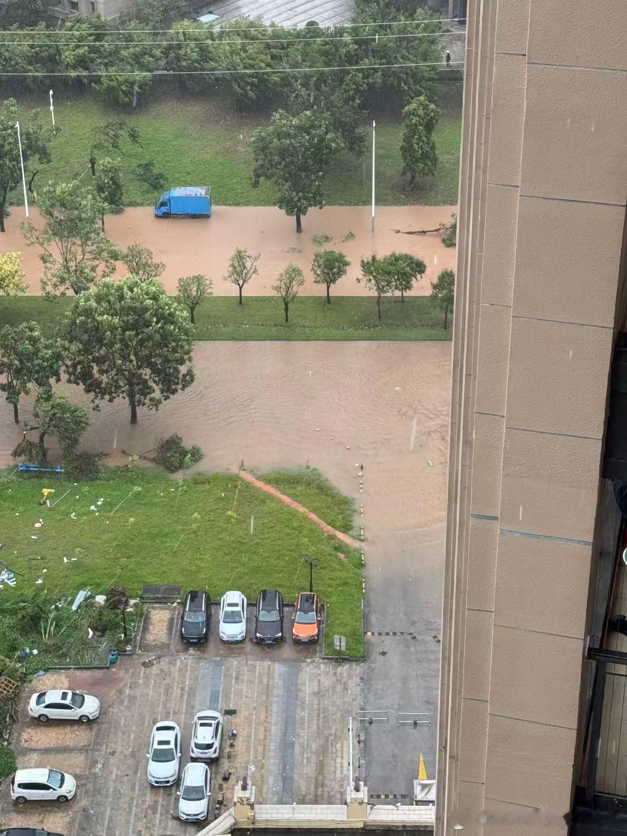 ，真的还挺猛的，这个台风红霞铁男随便聊