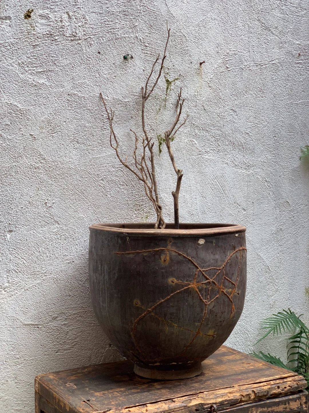 蜘蛛网纹钜钉缸；民宿、茶室极简侘寂摆件。