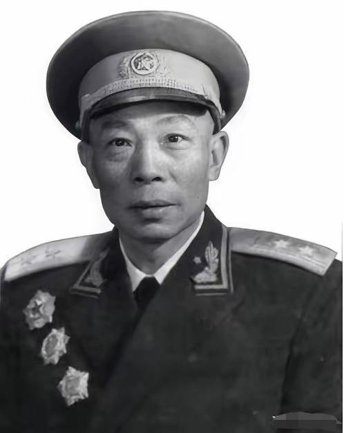 1949年，清剿湖南6万残匪的军长杨梅生路过小镇，见一乞丐老太酷似亡母，派警卫去