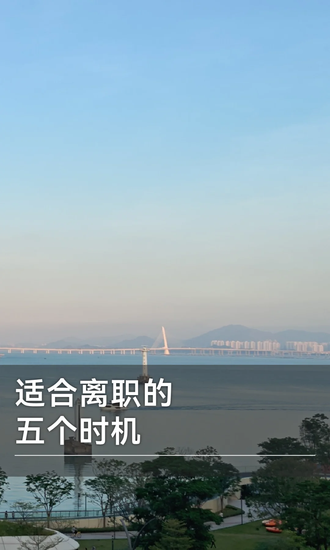 适合离职的五个时机