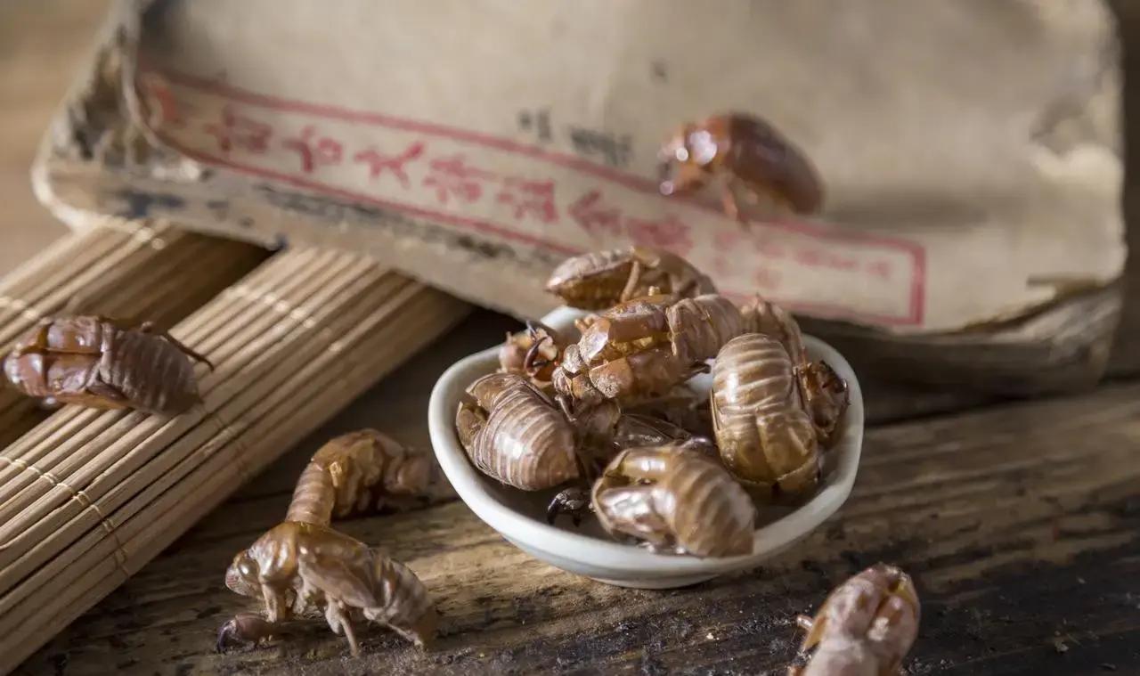 注意！感冒后高热不退，别急着乱吃退烧药。

冬季感冒容易转为实热证，全身滚烫、烦