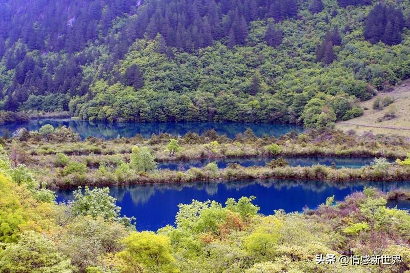 一张图证明我去过九寨沟，那必须是五彩池。
我站在五彩池边拍下这张照片，湖水呈现出