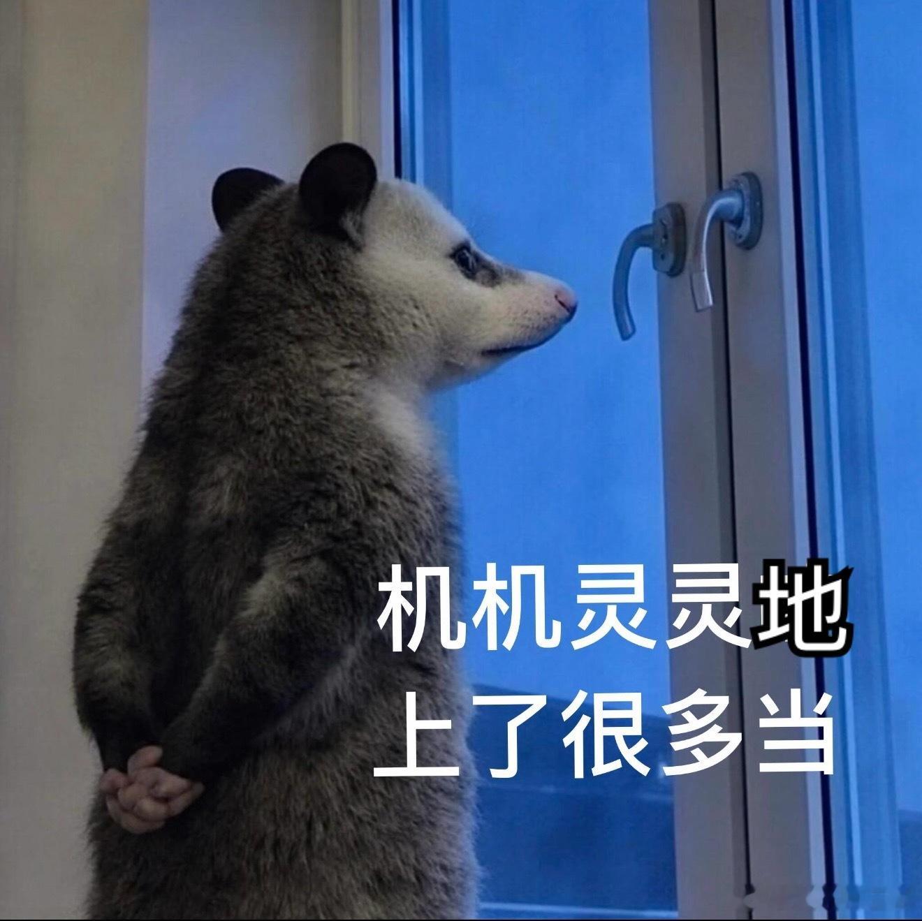 国外好赚钱的智商税总归会杀到国内来的。好消息是一般来说都是只割有钱人。当然也有些