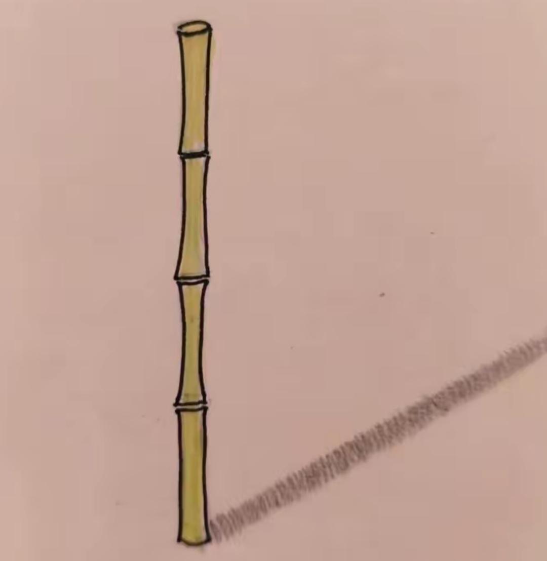 一根竹子倒在了地上。这个词语有难度，有知道的吗？等待你的答案。[作揖][玫瑰]