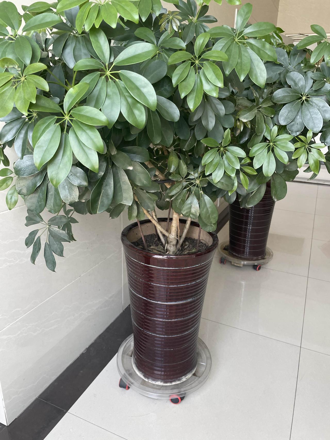 缺不缺钱的都要有一份自己的工作，不然没有办法体现自己的人生价值，人也就会越来越颓