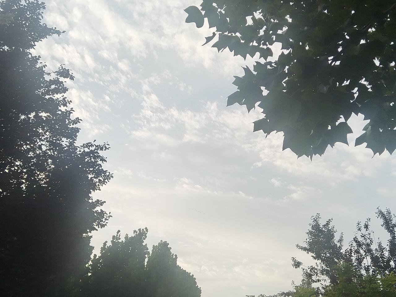 这是多少人的梦想，又是多少人的未来？

嘘，千万别醒来……
伟大的美丽坚，泡泡的