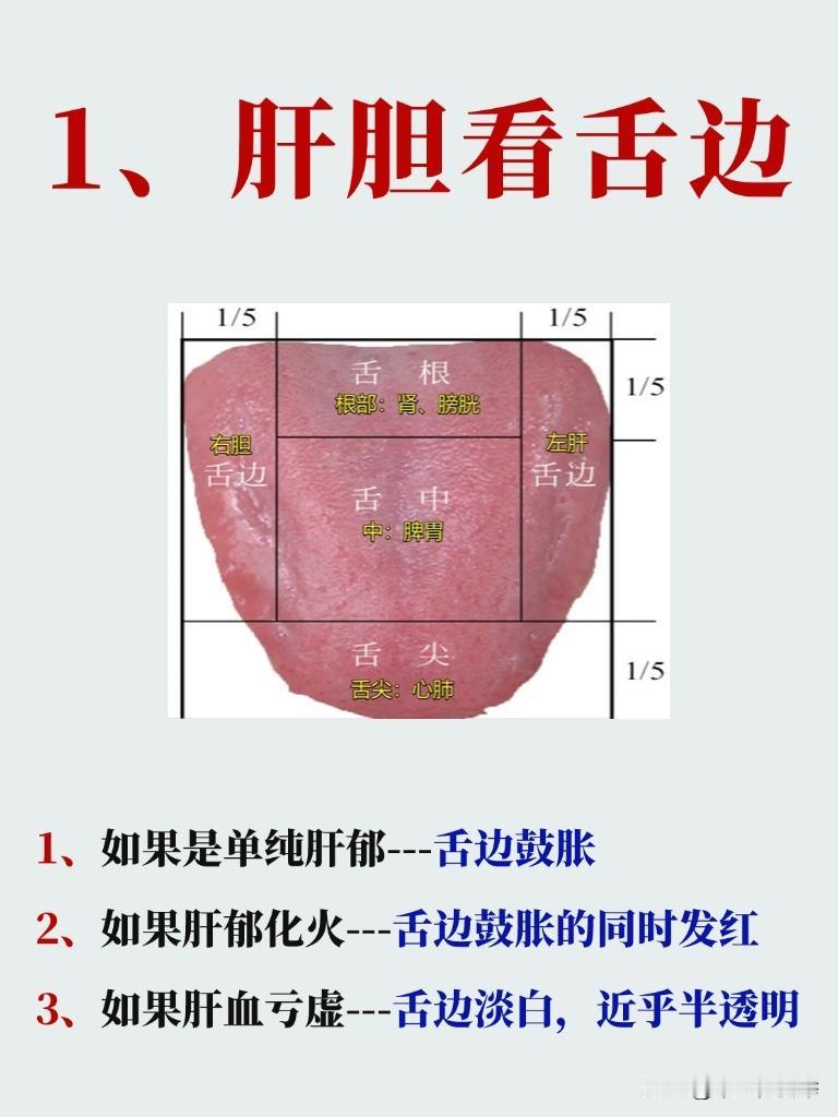 舌头到底怎么看？一分钟教会你，让中医不再神秘！