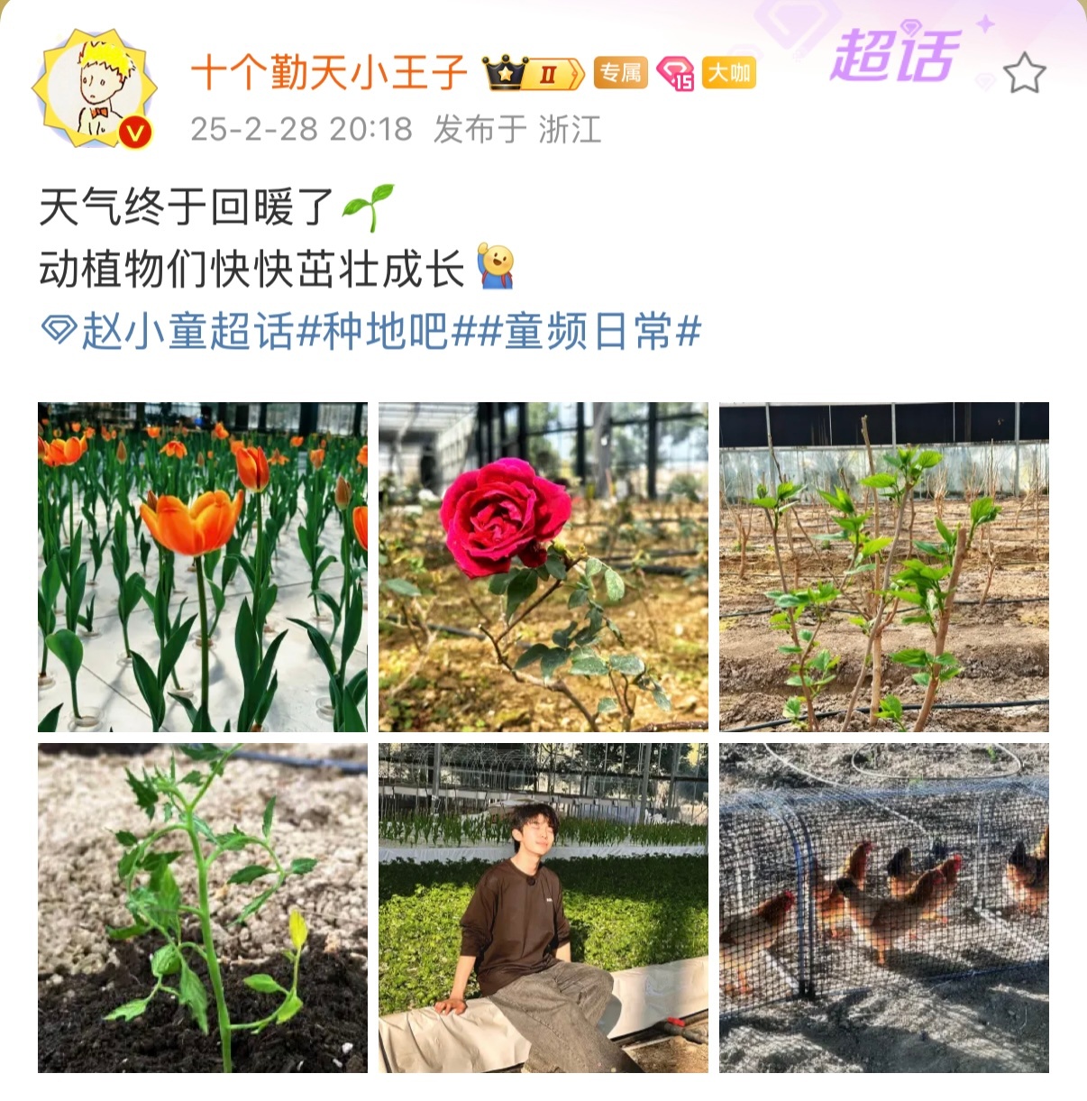 种地吧   |  赵小童  郁金香🌷又开了今年不会还是仅限“江浙沪”吧[允悲]