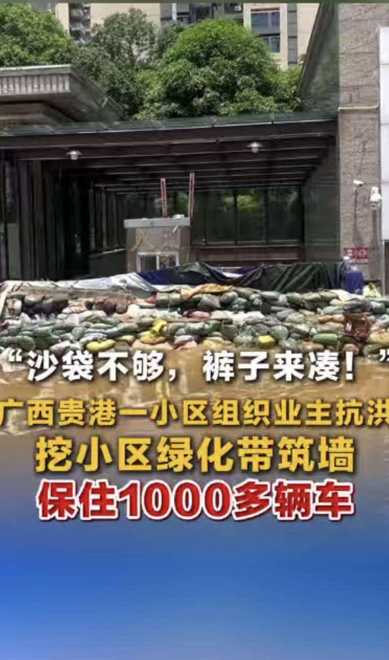 “沙袋不够，裤子来凑！”广西贵港一小区组织业主抗洪 挖小区绿化带筑墙 保住100