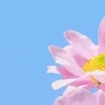 正能量[超话]正能量 人生最怕什么都想计较，却又什么都抓不牢。失去的风景，走散的