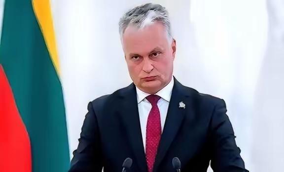 立陶宛因为在台湾设立代表处，被中国降为代办级，经济上遭到严厉制裁，立陶宛本以为和