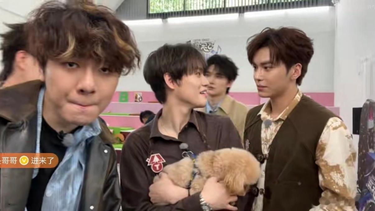 钟辰乐抱希林娜依高的狗被钟辰乐的温柔瞬间戳中，抱着小狗耐心互动乖巧可爱，和希林娜