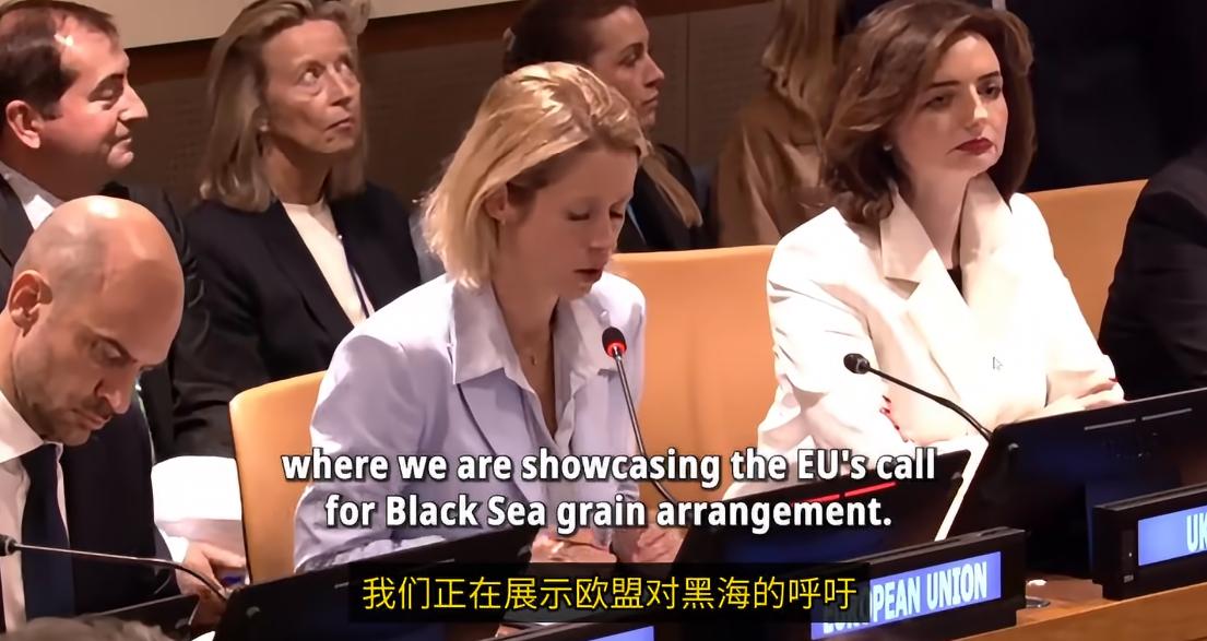 卡拉斯呼吁停止攻击黑海，让粮食流通

欧盟外交与安全政策高级代表卡拉斯近日就黑海